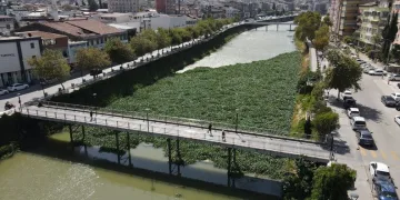 Asi Nehri’ni kaplayan su sümbülleri temizleniyor