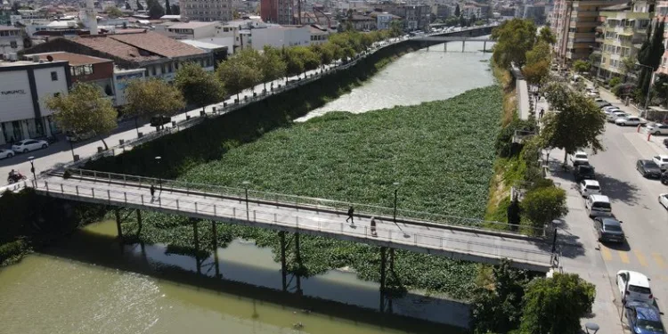 Asi Nehri’ni kaplayan su sümbülleri temizleniyor
