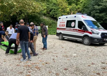 Ziyaretçilerin üzerine ağaç devrildi:2 ölü
