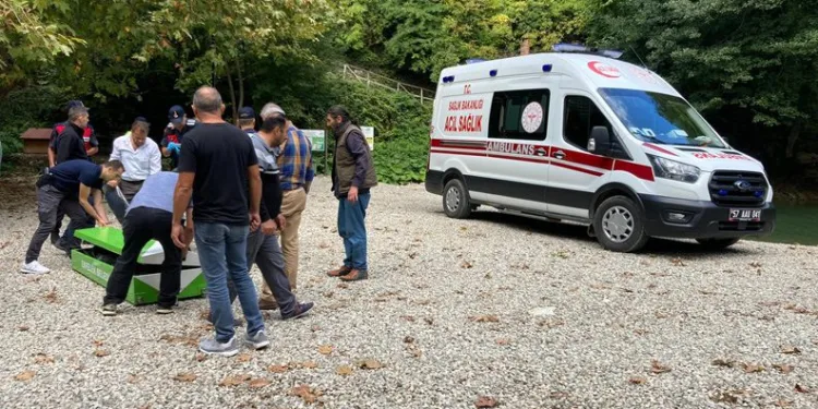 Ziyaretçilerin üzerine ağaç devrildi:2 ölü