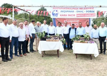 Bursa’da Kara İncir Birlik Festivali