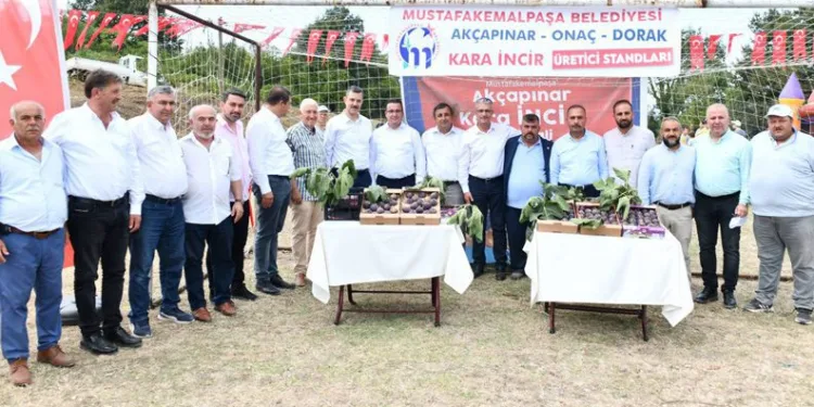 Bursa’da Kara İncir Birlik Festivali