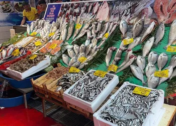 Av sezonu açıldı, tezgahlar balık doldu