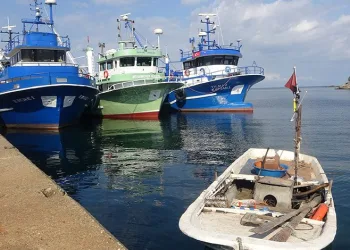 Kocaeli’de balıkçılar umduğunu bulamadı