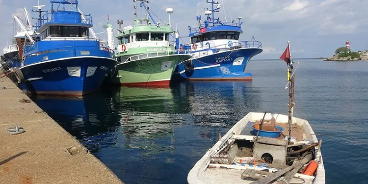 Kocaeli’de balıkçılar umduğunu bulamadı