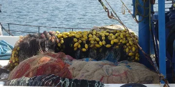 Kocaeli’de balıkçılar umduğunu bulamadı