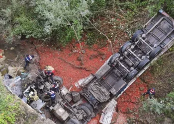 TIR viyadükten dereye uçtu: 1 ölü 1 ağır yaralı