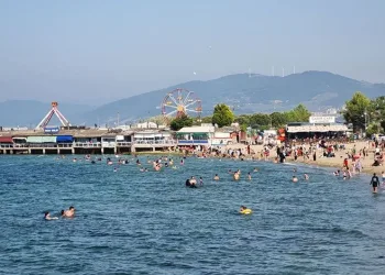 Bursa sahillerinde tahlil sonuçları belli oldu