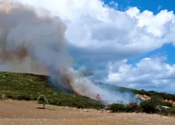 Çanakkale’de orman yangını