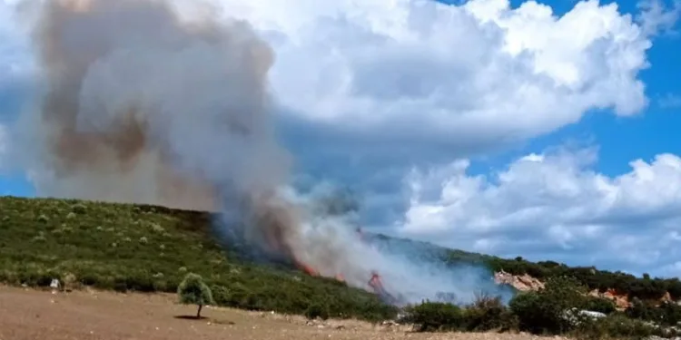 Çanakkale’de orman yangını
