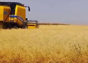 Kars’ta emekler ekmeğe dönüşüyor