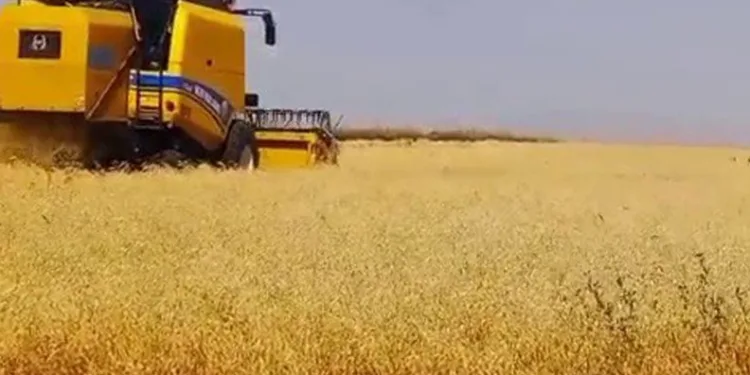 Kars’ta emekler ekmeğe dönüşüyor