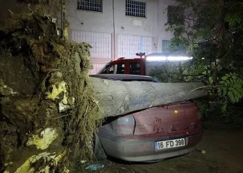 Bursa’da otomobillerin üzerine ağaç devrildi
