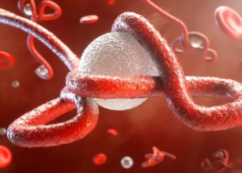 Uganda’da ebola salgını ilan edildi