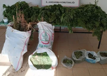 Elazığ’da 20 kilo esrar ele geçirildi: 1 gözaltı