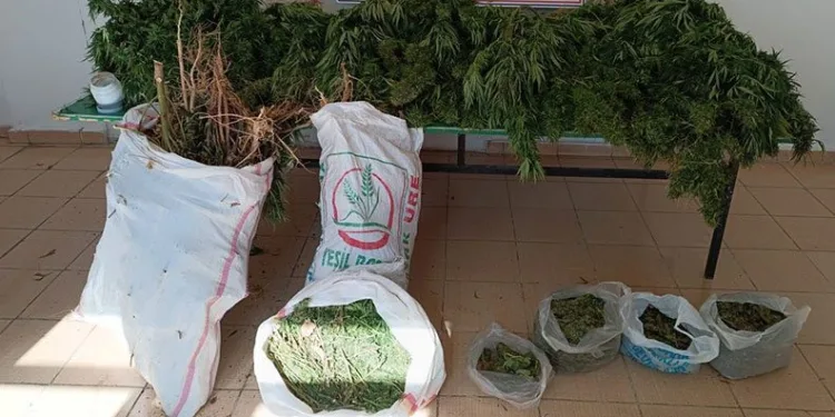 Elazığ’da 20 kilo esrar ele geçirildi: 1 gözaltı