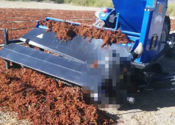 Manisa’da çiftçinin feci ölümü