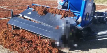 Manisa’da çiftçinin feci ölümü