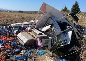 Çanakkale’de domates yüklü kamyon şarampole devrildi