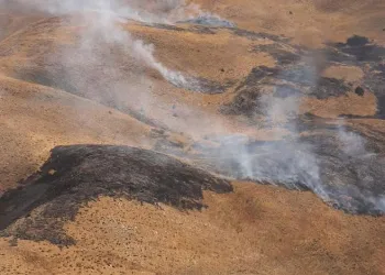 Bingöl’de otluk alanda yangın