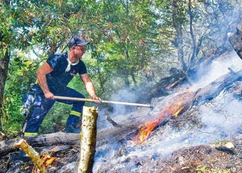 Gürcistan’da orman yangınları sürüyor