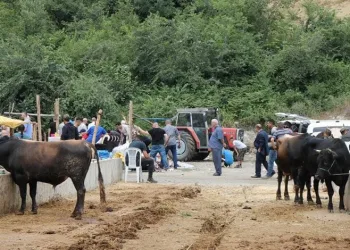 Hayvancılıkta ’Sözleşmeli Besicilik’ dönemi