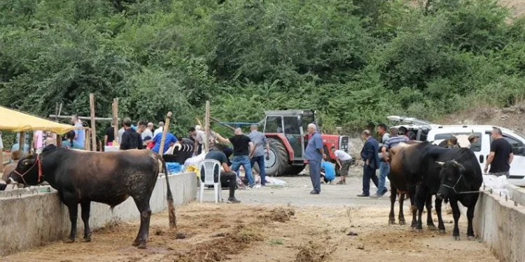 Hayvancılıkta ’Sözleşmeli Besicilik’ dönemi