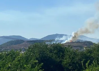Mersin’deki orman yangını kontrol altında