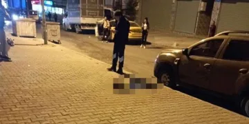 3 yaşındaki çocuk 20’nci kattan düştü