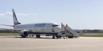 Arı uçağa 1 saat rötar yaptırdı