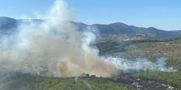 İzmir’deki orman yangını kontrol altında