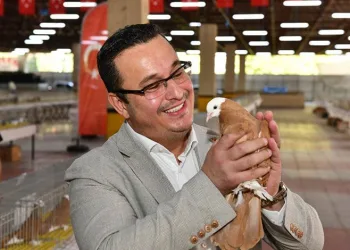 Mustafakemalpaşa’da güzel güvercin festivali