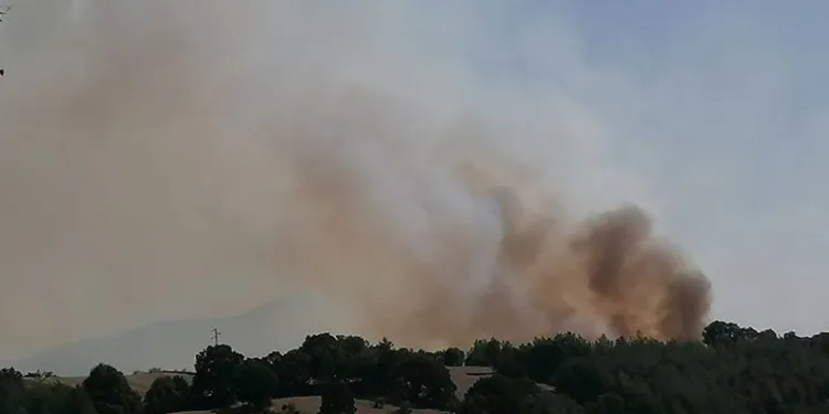 Balıkesir’de orman yangını