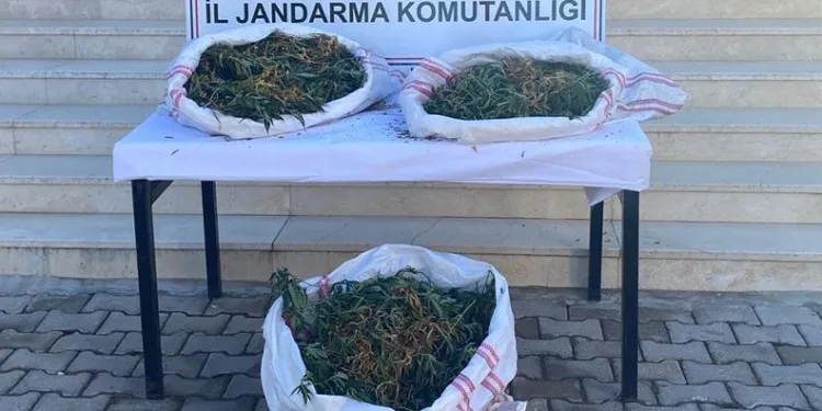 Antalya’da sazlık alana gizlenen çuvaldan uyuşturucu çıktı