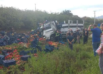 Düzce’de sebze ve meyve yüklü kamyon kanala uçtu: 1 yaralı