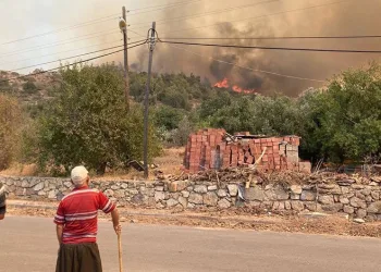MSB’den yangın söndürme çalışmalarına destek