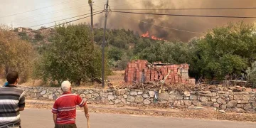 MSB’den yangın söndürme çalışmalarına destek