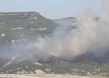 Muğla-Denizli sınırında orman yangını
