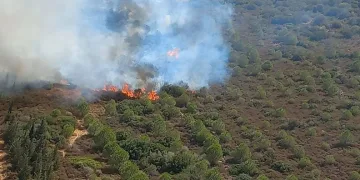 İzmir’de yangın