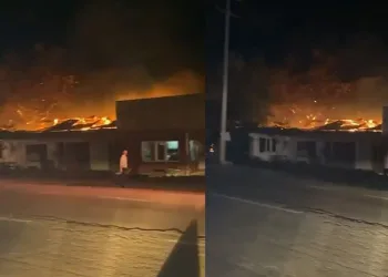 Bursa’da samanlık alev alev yandı