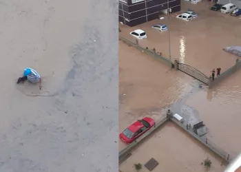 Hayvanlarını kurtarmak için canını hiçe saydı