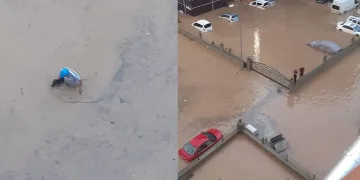 Hayvanlarını kurtarmak için canını hiçe saydı
