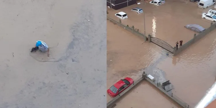 Hayvanlarını kurtarmak için canını hiçe saydı