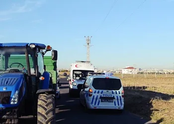 Tekirdağ’da incir ağacına dadanan şahıs ortalığı birbirine kattı