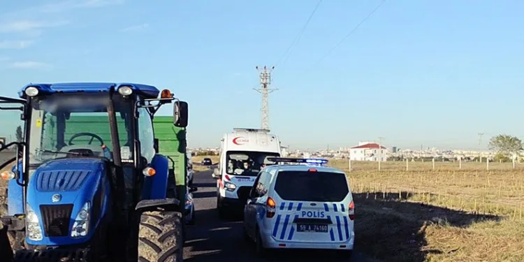 Tekirdağ’da incir ağacına dadanan şahıs ortalığı birbirine kattı