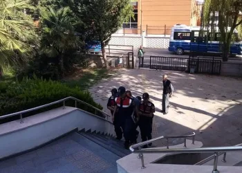 Bursa’da kenevir tarlasına baskın