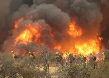 California’da orman yangınları sürüyor