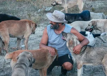 Bursalı hayvansever yüzlerce köpeği besliyor