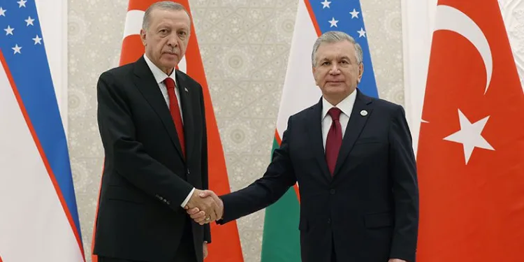 Erdoğan, Özbekistanlı mevkidaşı Mirziyoyev ile görüştü