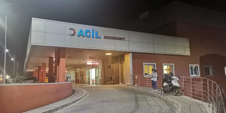 Almanya’dan gelen kardeşini bıçakladı
